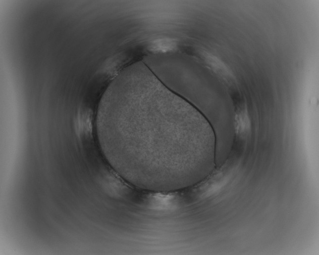 X0000112350570200909101045