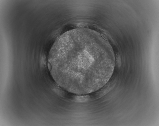 X0000112350571200909101045