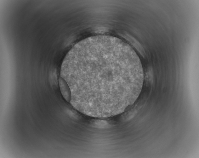 X0000112350572200909101045