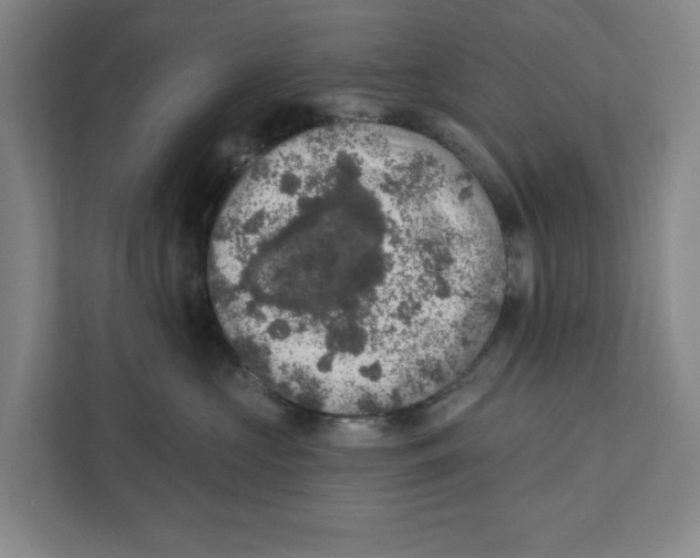 X0000112350573200909101045