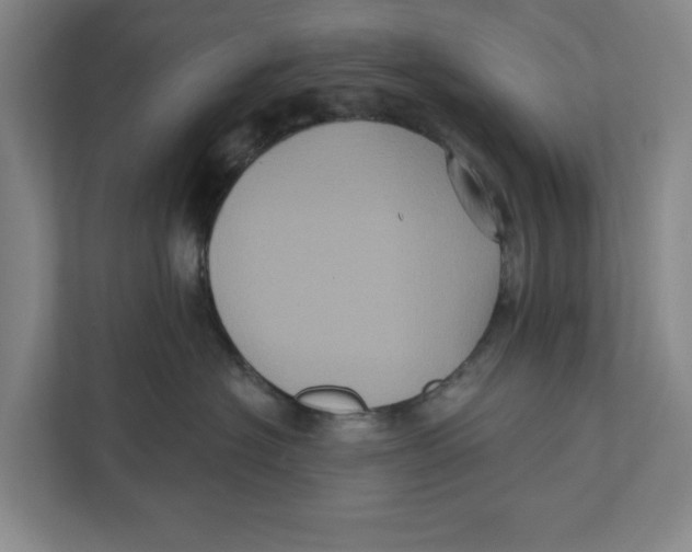 X0000112350574200909101045