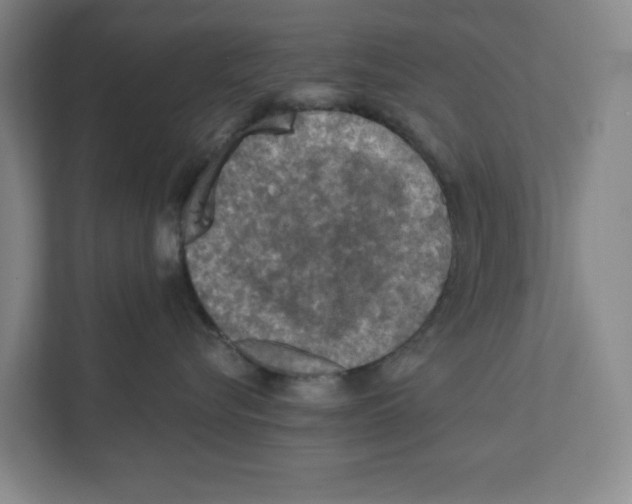 X0000112350576200909101045