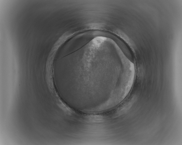 X0000112350577200909101045