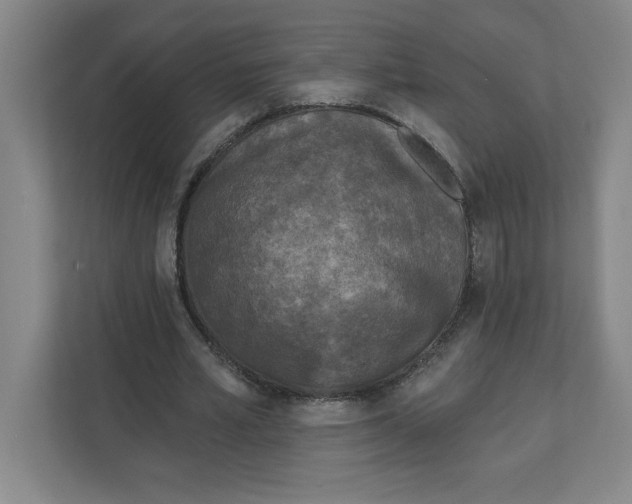 X0000112350581200909101045