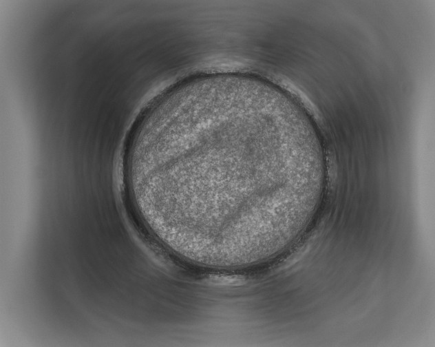 X0000112350582200909101045