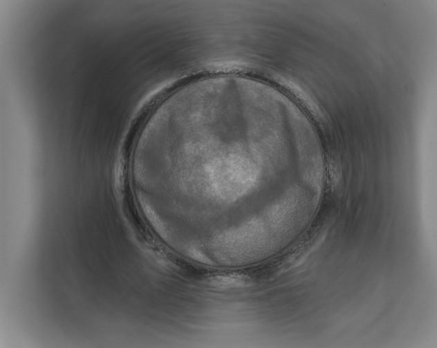 X0000112350583200909101045