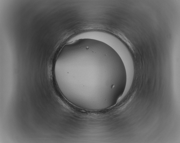 X0000112350585200909101045