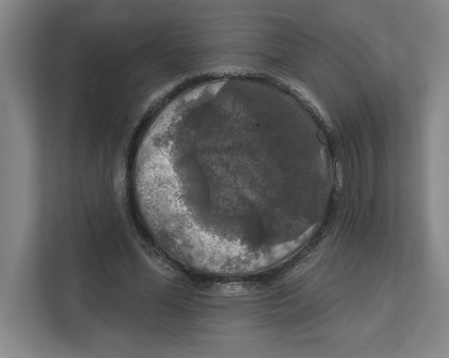 X0000112350588200909101045