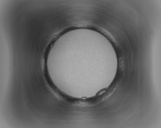 X0000112350589200909101045