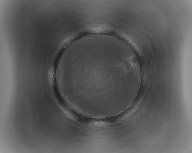 X0000112350590200909101045