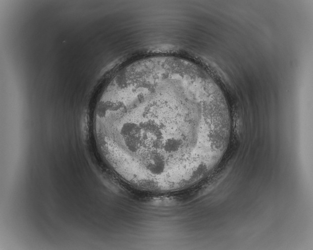 X0000112350591200909101045