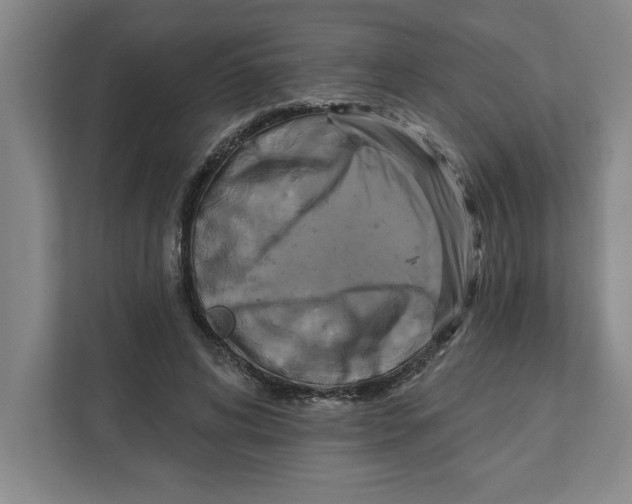 X0000112350592200909101045