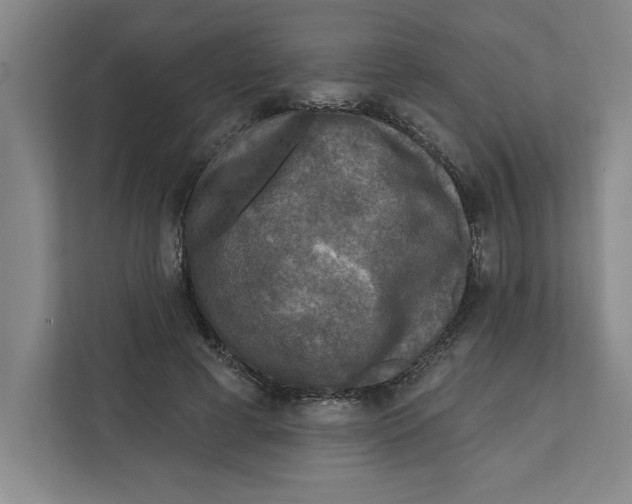 X0000112350593200909101045