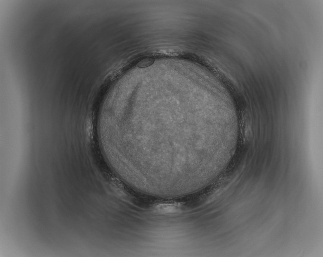 X0000112350595200909101045