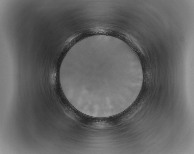 X0000112350596200909101045