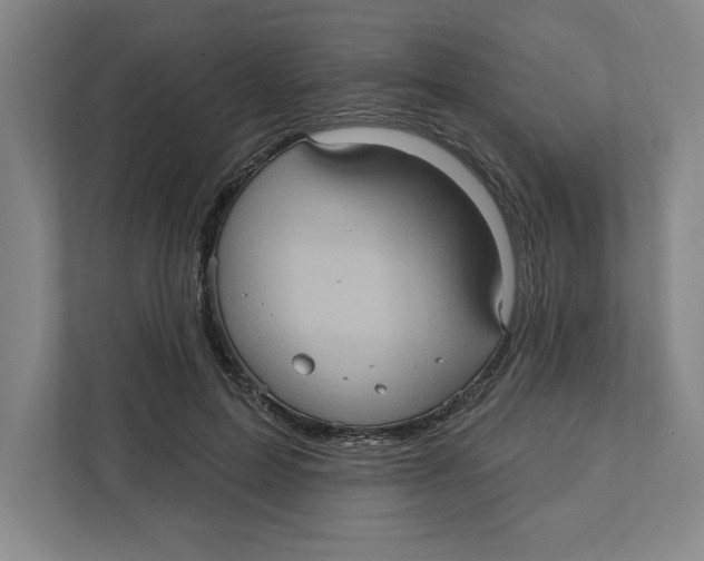 X0000112350599200909101045