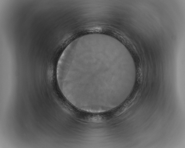 X0000112350600200909101045