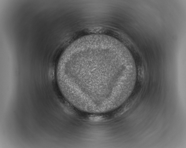 X0000112350602200909101045