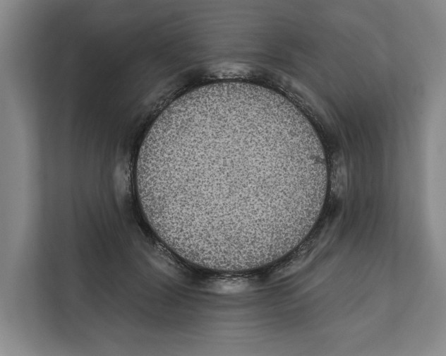 X0000112350604200909101044