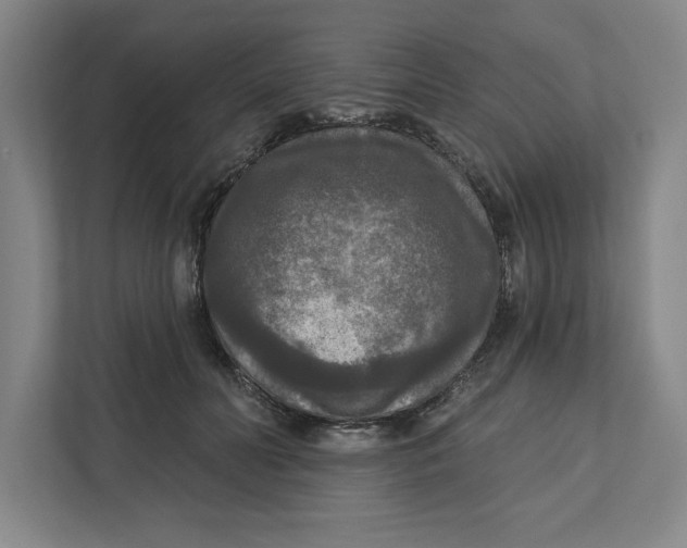 X0000112350606200909101044