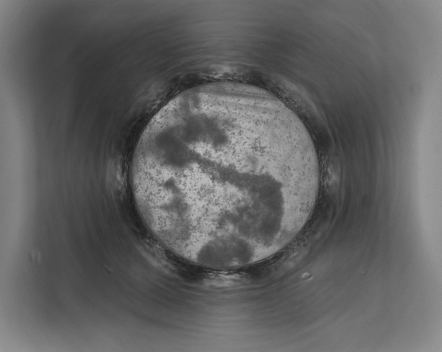 X0000112350607200909101044