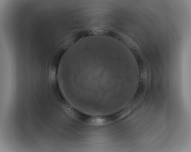 X0000112350610200909101044