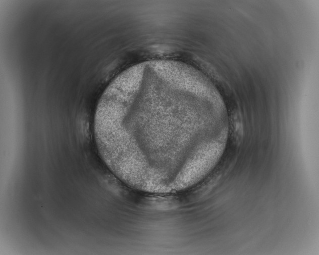 X0000112350615200909101044