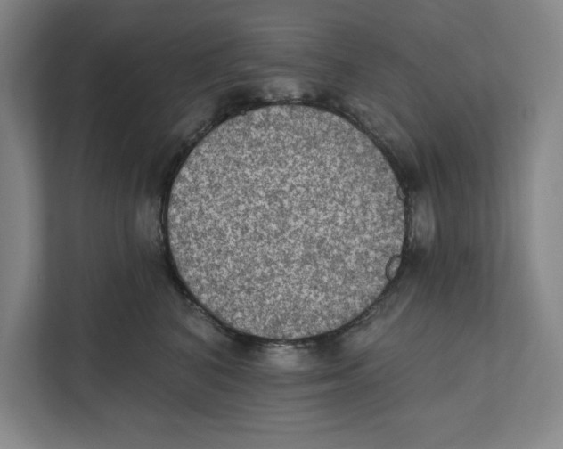 X0000112350616200909101044