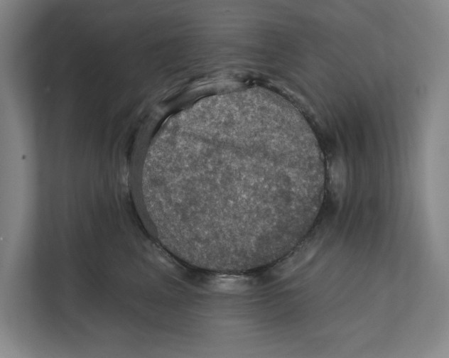 X0000112350617200909101044