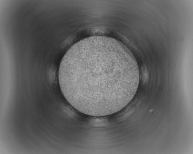 X0000112350619200909101044