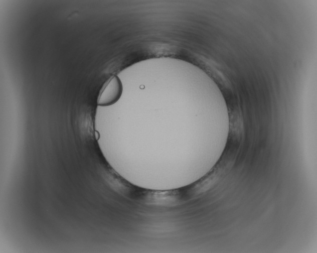 X0000112350622200909101044