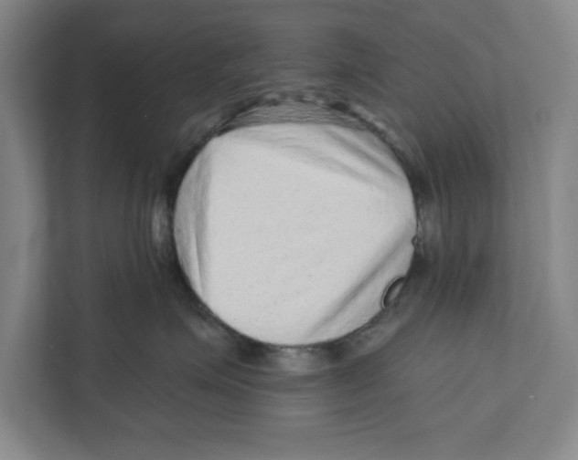 X0000112350623200909101044