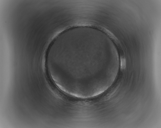 X0000112350627200909101044