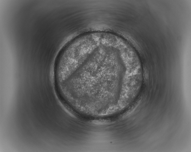 X0000112350630200909101044