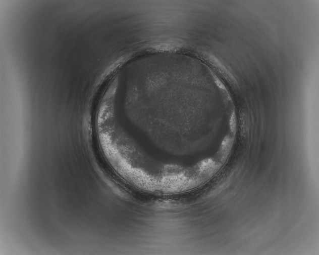 X0000112350634200909101044