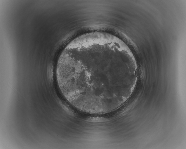 X0000112350637200909101044