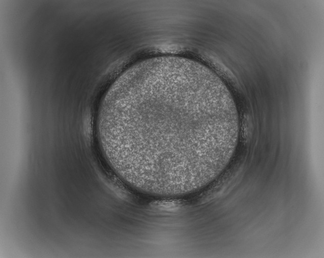 X0000112350639200909101044