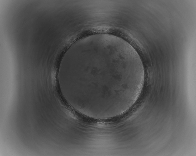 X0000112350641200909101044