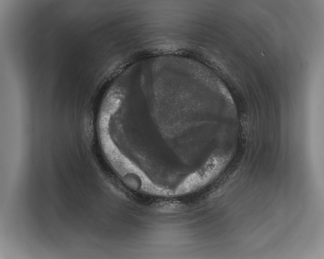 X0000112350642200909101044