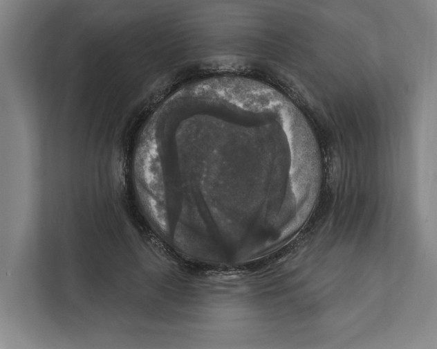 X0000112350643200909101044