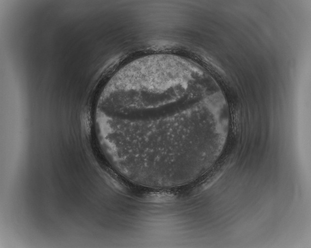 X0000112350644200909101044