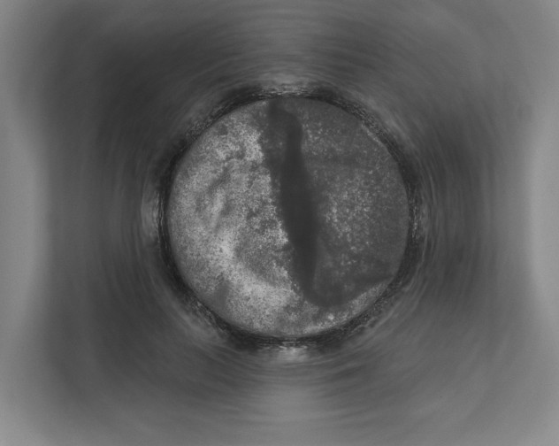 X0000112350647200909101044