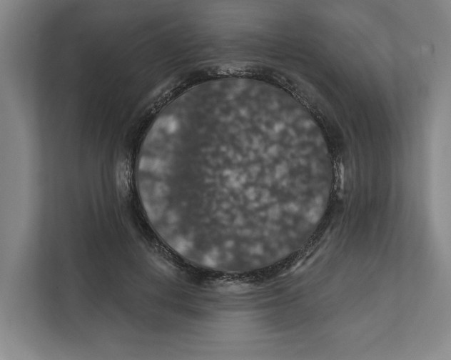 X0000112350648200909101044