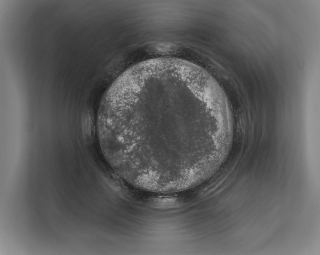 X0000112350651200909101044