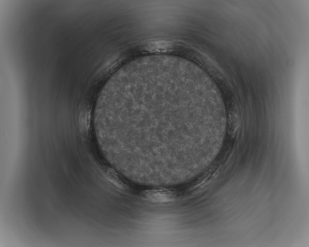 X0000112350652200909101044