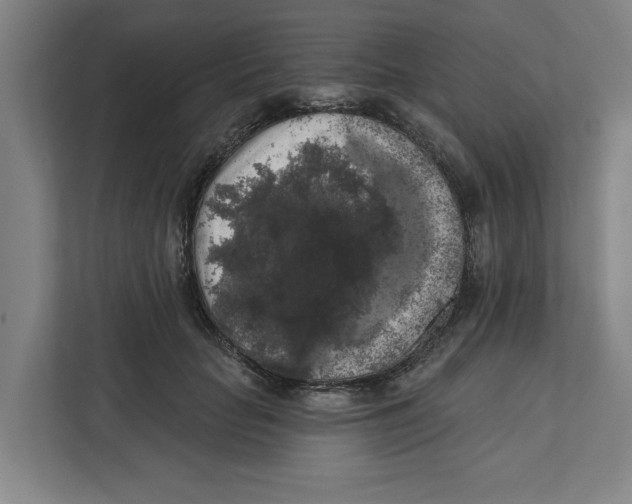 X0000112350653200909101044