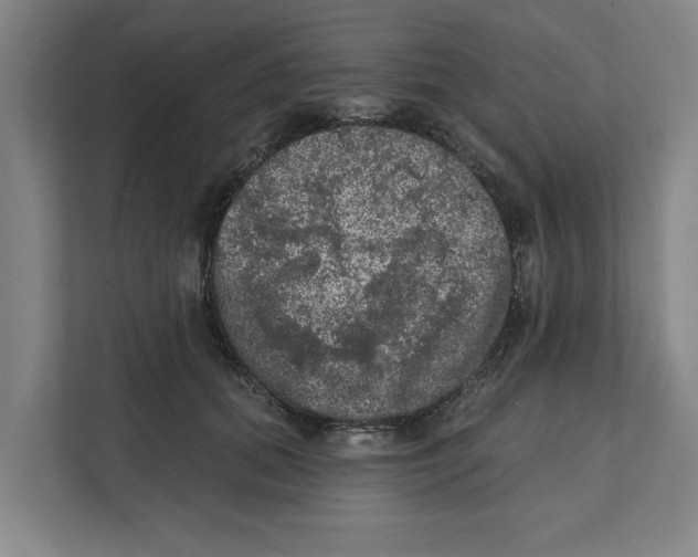 X0000112350655200909101044