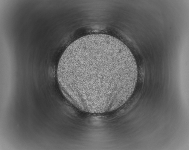 X0000112350657200909101044