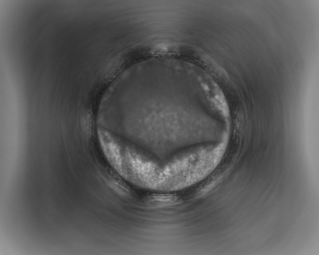 X0000112350659200909101044