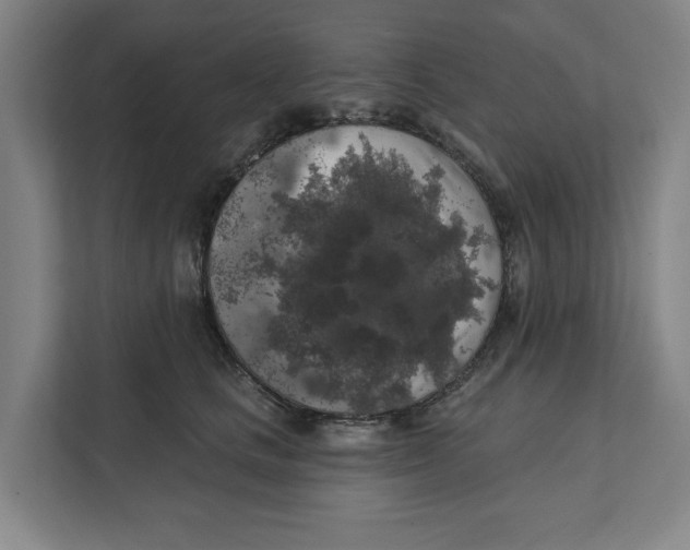 X0000112350661200909101044